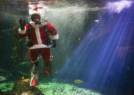 Hút khách bằng ông già Noel trong bể cá